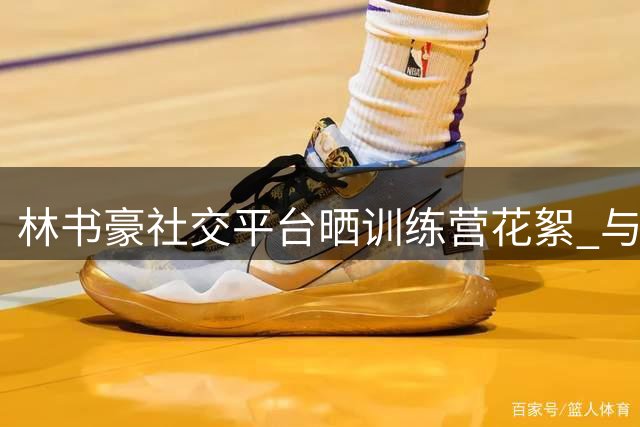 林书豪社交平台晒训练营花絮 与十位亚裔篮球新秀共度三日